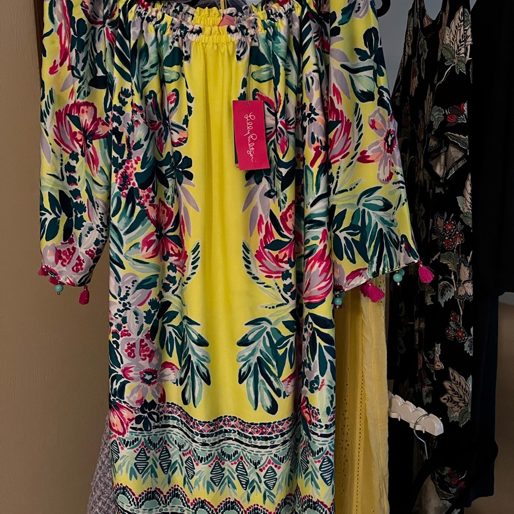 NWT Large Payge Dress